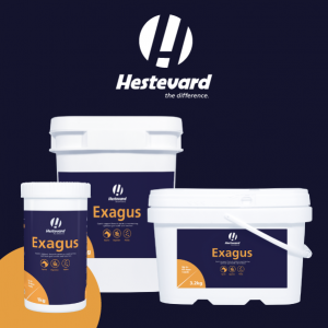DISCOVER MORE ABOUT EXAGUS with Equine vet